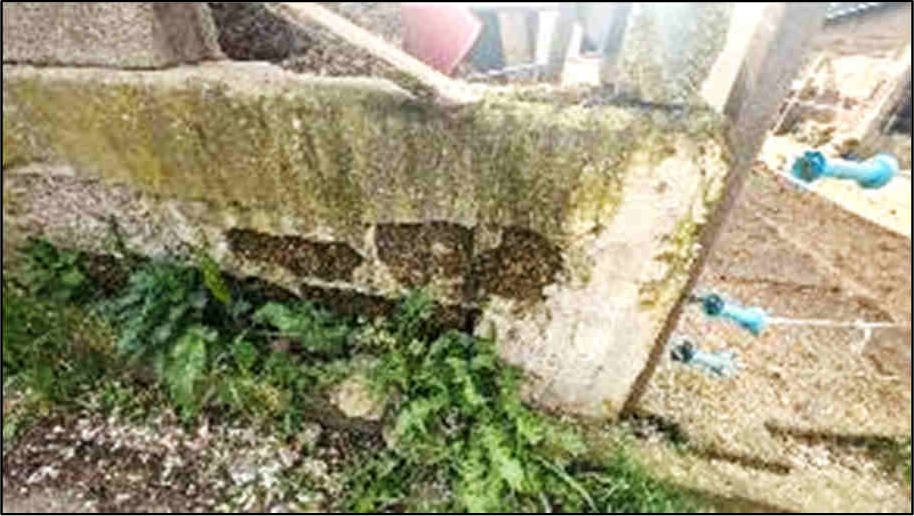 hessen 0020K0012/2022 Gartenstr. 7, 65321 Heidenrod-Huppert 20