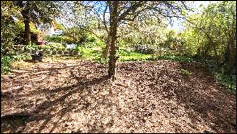 hessen 0020K0012/2022 Gartenstr. 7, 65321 Heidenrod-Huppert 13