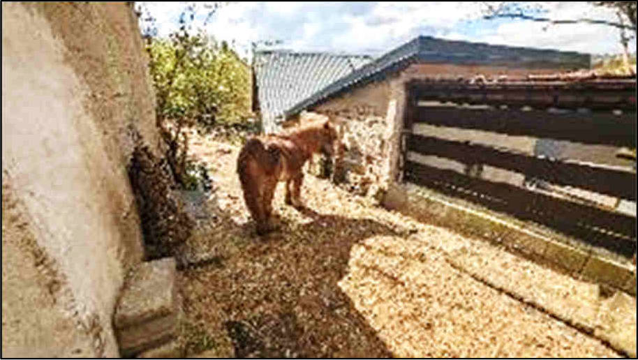 Einfamilienhaus in Gartenstr. 7, 65321 Heidenrod-Huppert - Bild 2