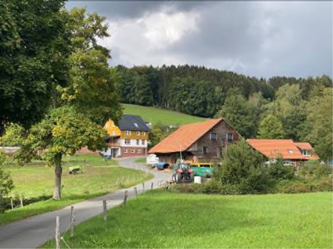 Einfamilienhaus in Siefertsweg 8, 64760 Oberzent, Falken-Gesäß - Bild 4