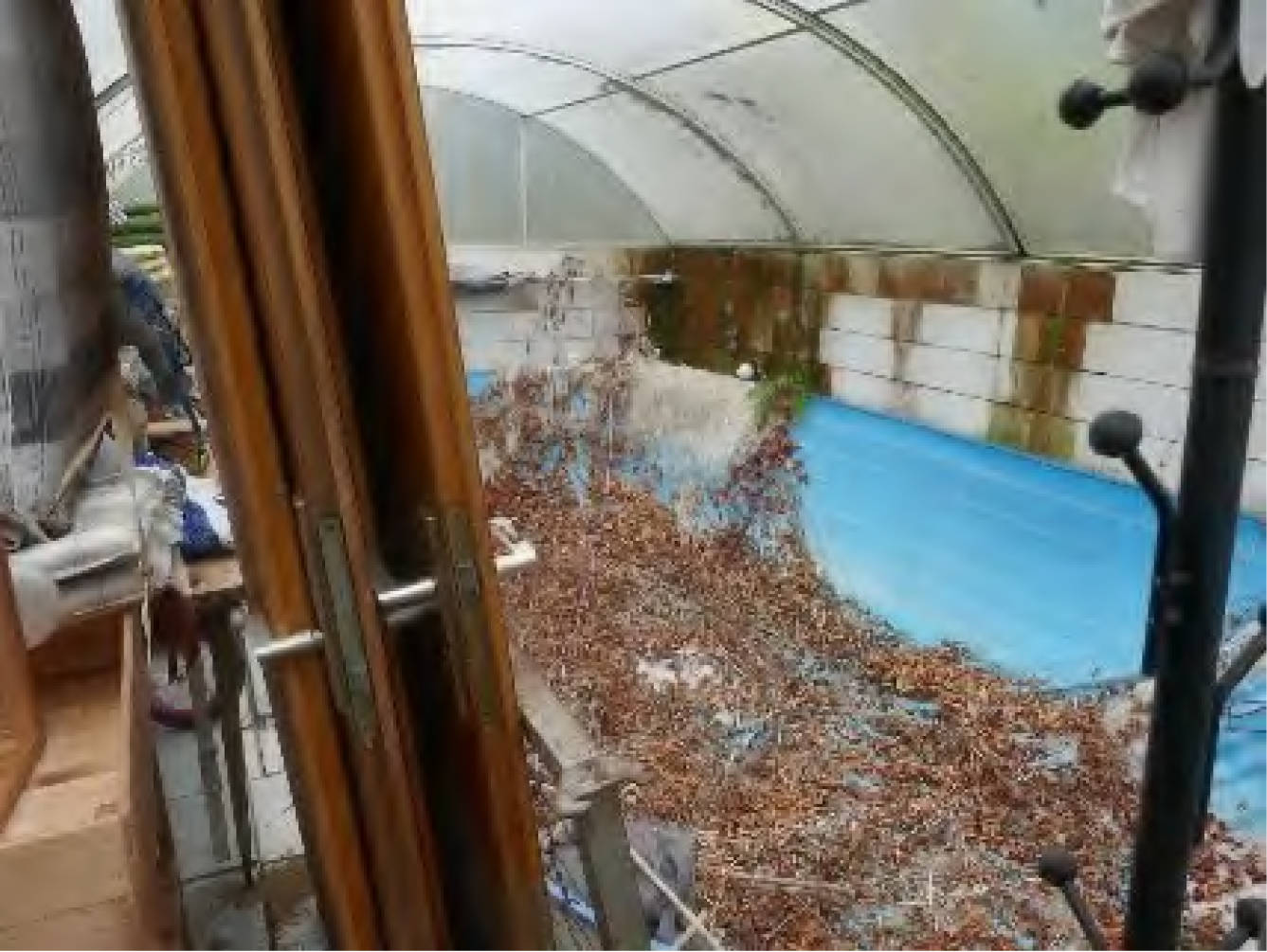Einfamilienhaus in Siedlung Rolle 15, 64711 Erbach - Bild 5