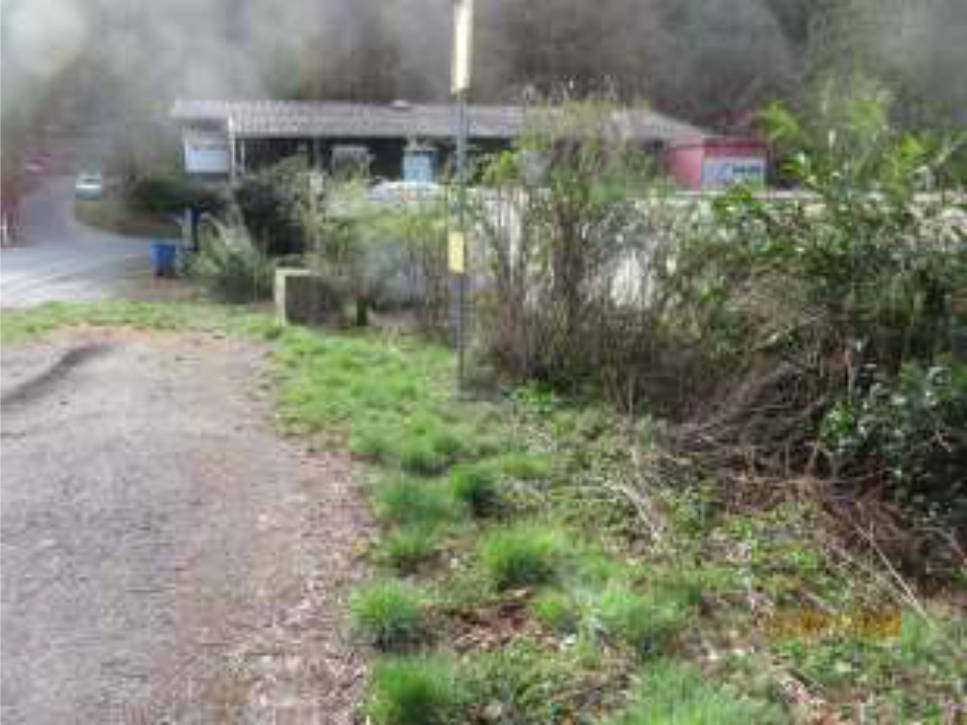 hessen 0023K0038-2021 Ober der Raudelle bzw. Beerfelder Straße 68, 64760 Oberzent, Falken-Gesäß 6