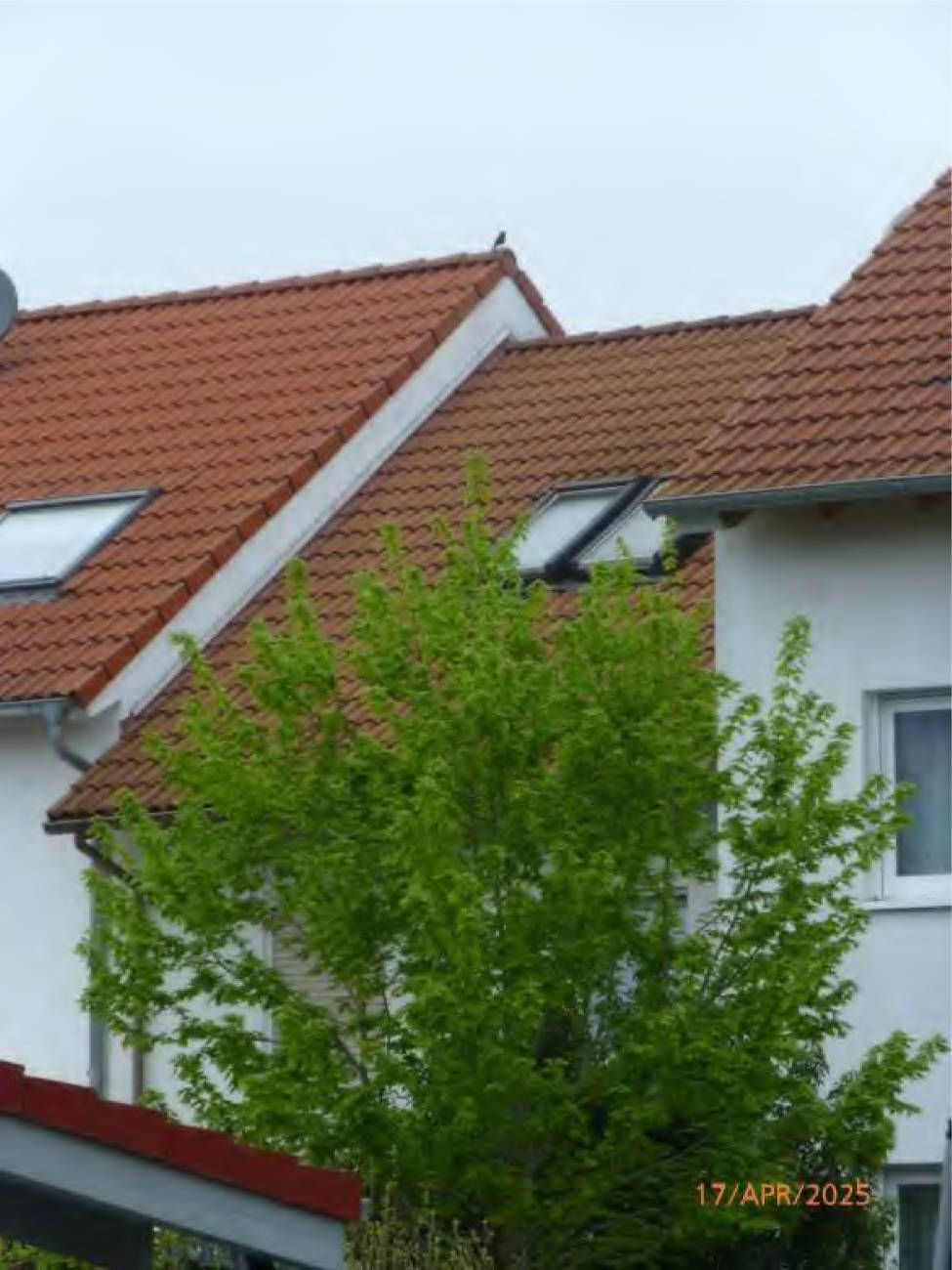 hessen 0024 K 0001/2025 Clara-Schumann-Straße 4, 64560 Riedstadt, Erfelden 6