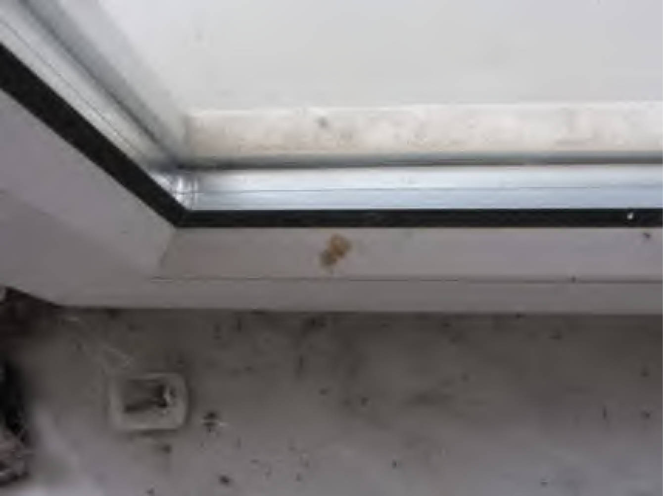 hessen 0024 K 0027/2025 Bleiauweg  13, 65462 Ginsheim-Gustavsburg 16