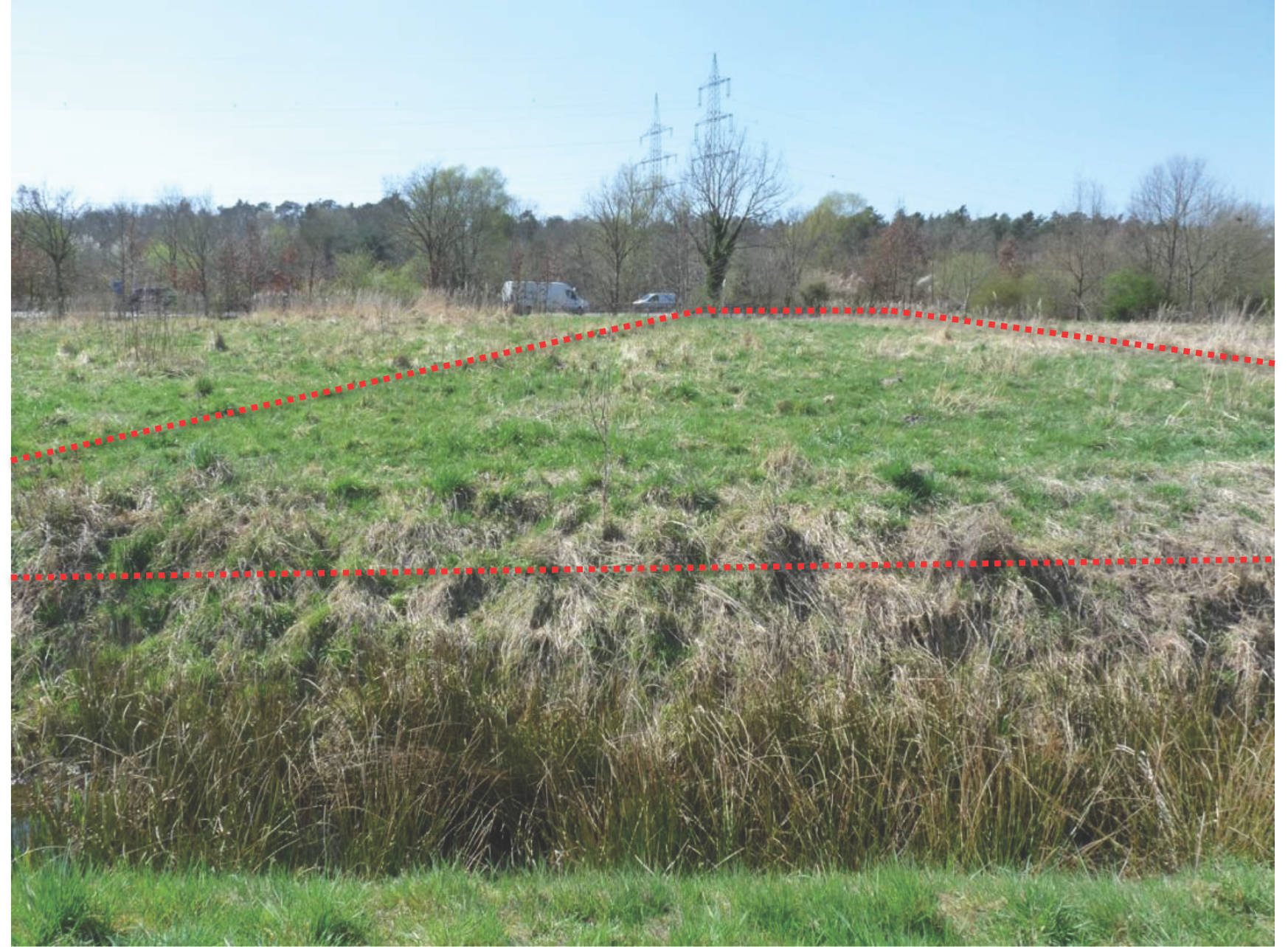 land- und forstwirtschaftlich genutztes Grundstück in Auf dem Meyers, 64859 Eppertshausen - Bild 4