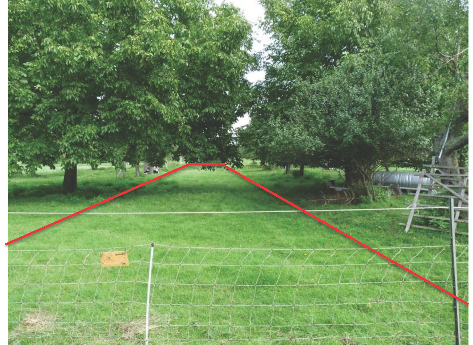 land- und forstwirtschaftlich genutztes Grundstück in unter dem Bachsteg, 64846 Groß-Zimmern - Bild 3