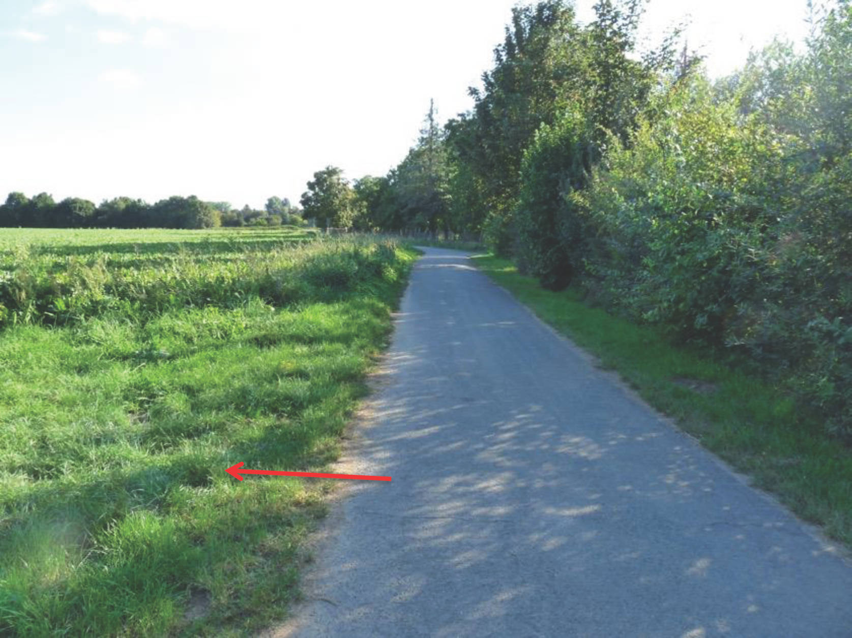 land- und forstwirtschaftlich genutztes Grundstück in die Reitzelswiesen unter dem herrschaftlichen Beinenhof, 64846 Groß-Zimmern - Bild 4