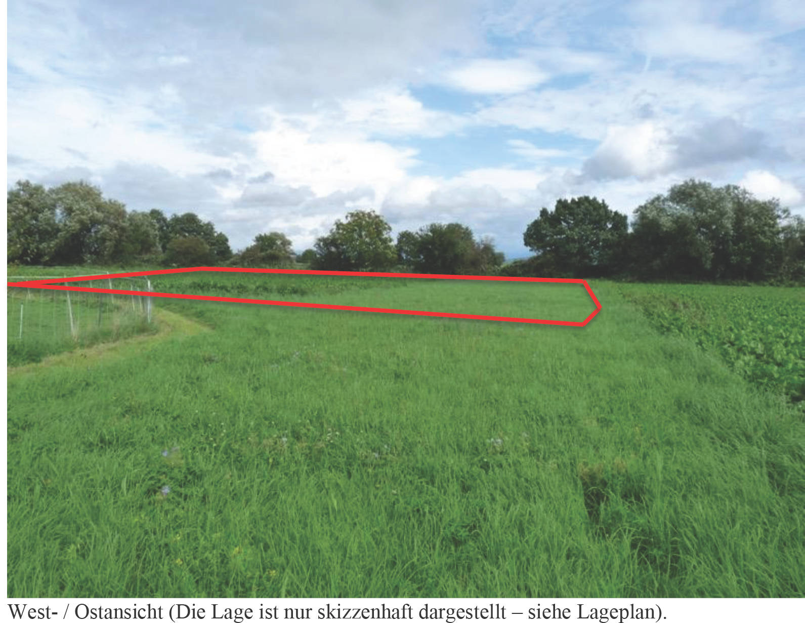 land- und forstwirtschaftlich genutztes Grundstück in die Reitzelswiesen unter dem herrschaftlichen Beinenhof, 64846 Groß-Zimmern