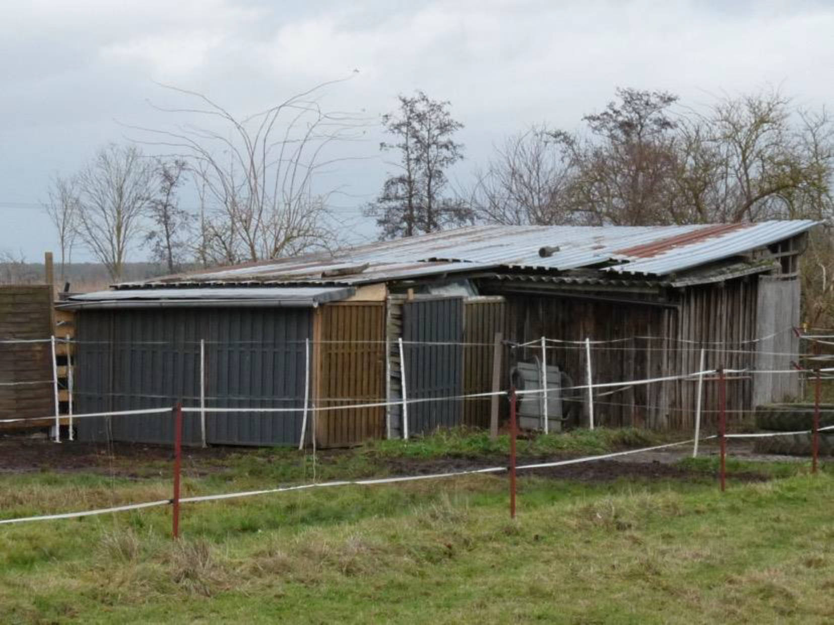 land- und forstwirtschaftlich genutztes Grundstück in der Pferdswasen, 64839 Münster, Altheim - Bild 5