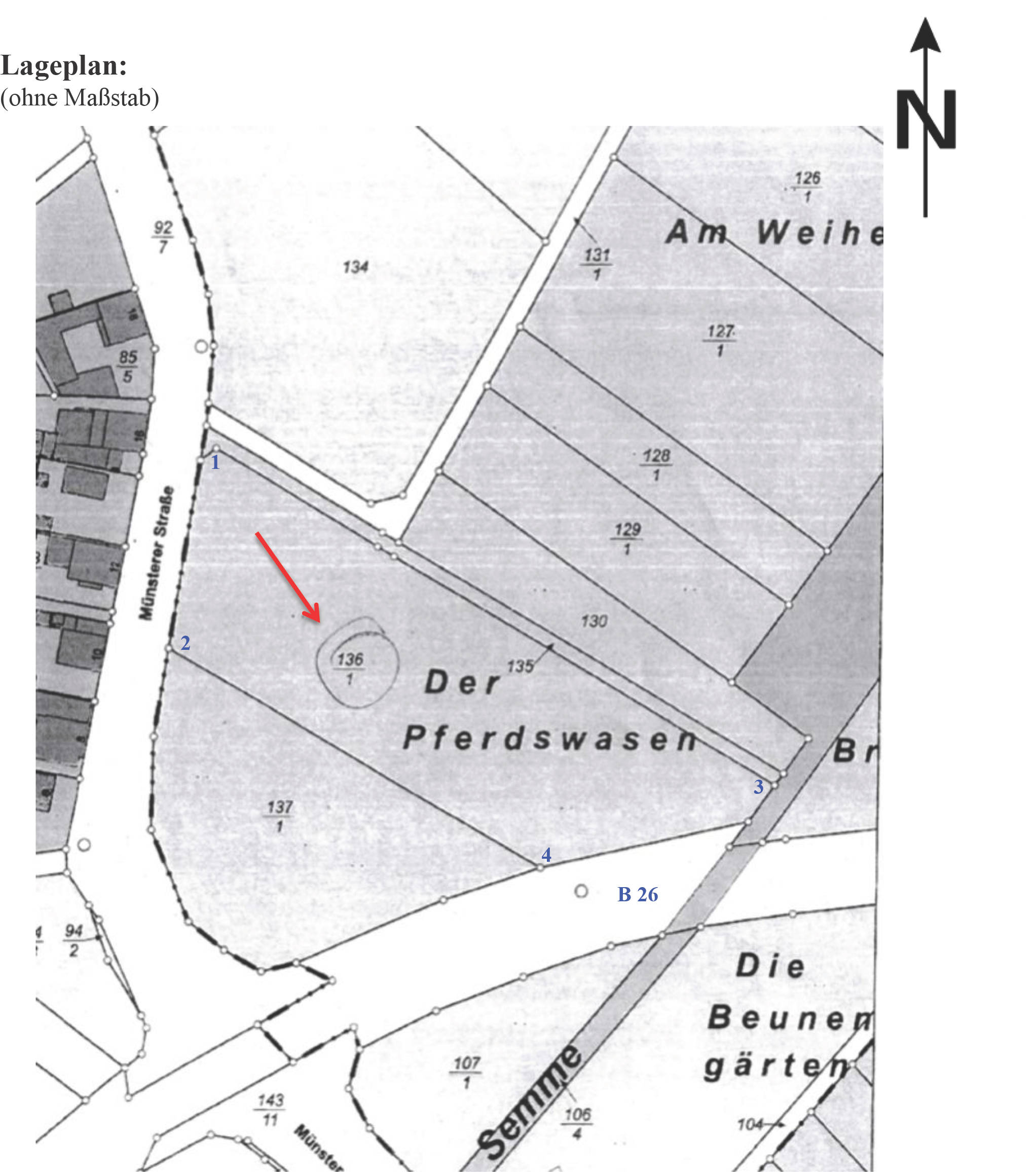 land- und forstwirtschaftlich genutztes Grundstück in der Pferdswasen, 64839 Münster, Altheim - Bild 3