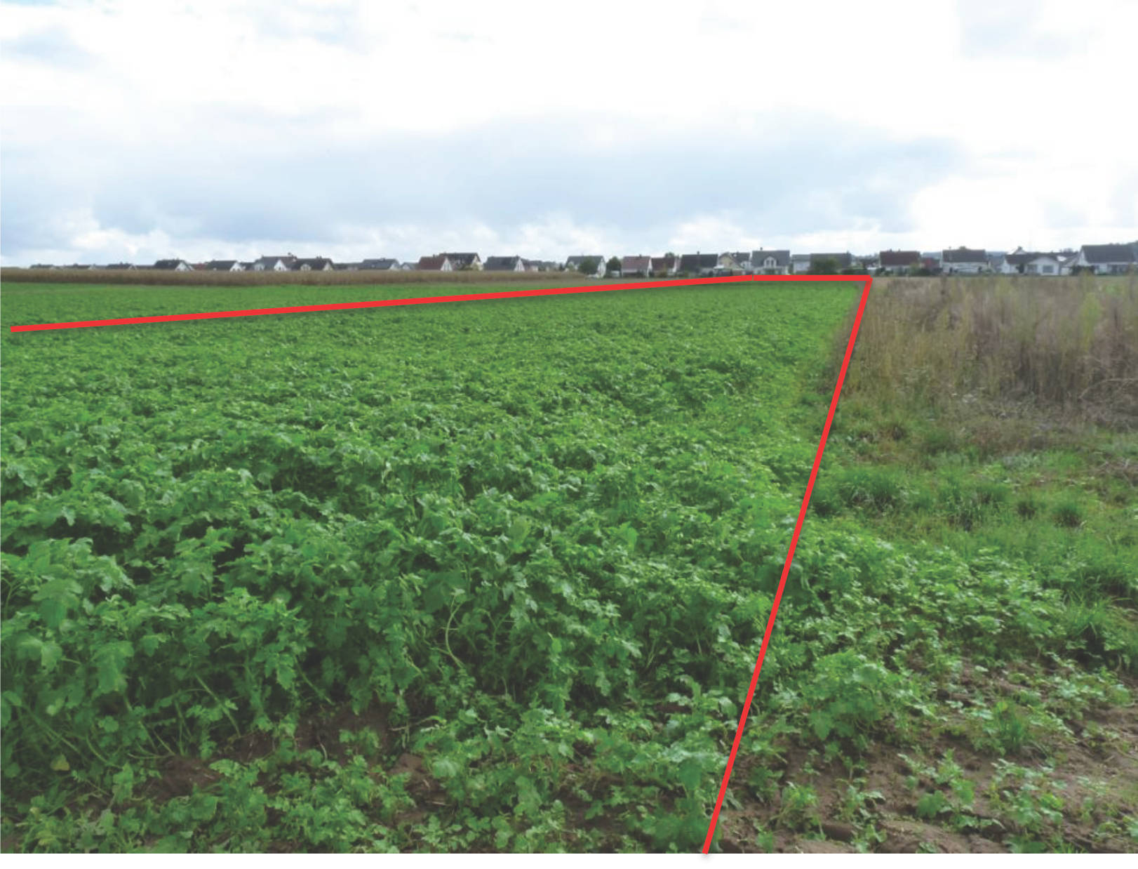 hessen 0030K0021-2024 im Rittersloch und Heerweg, 64850 Schaafheim