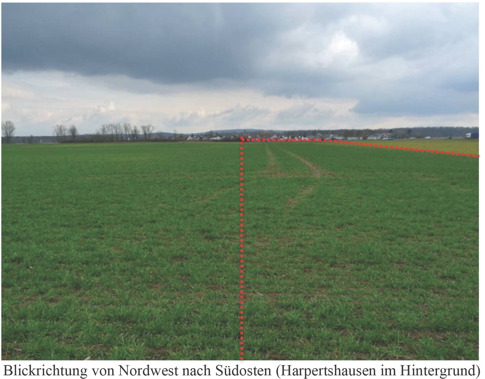 land- und forstwirtschaftlich genutztes Grundstück in am Weidenloch, 64832 Babenhausen, Harpertshausen - Bild 3