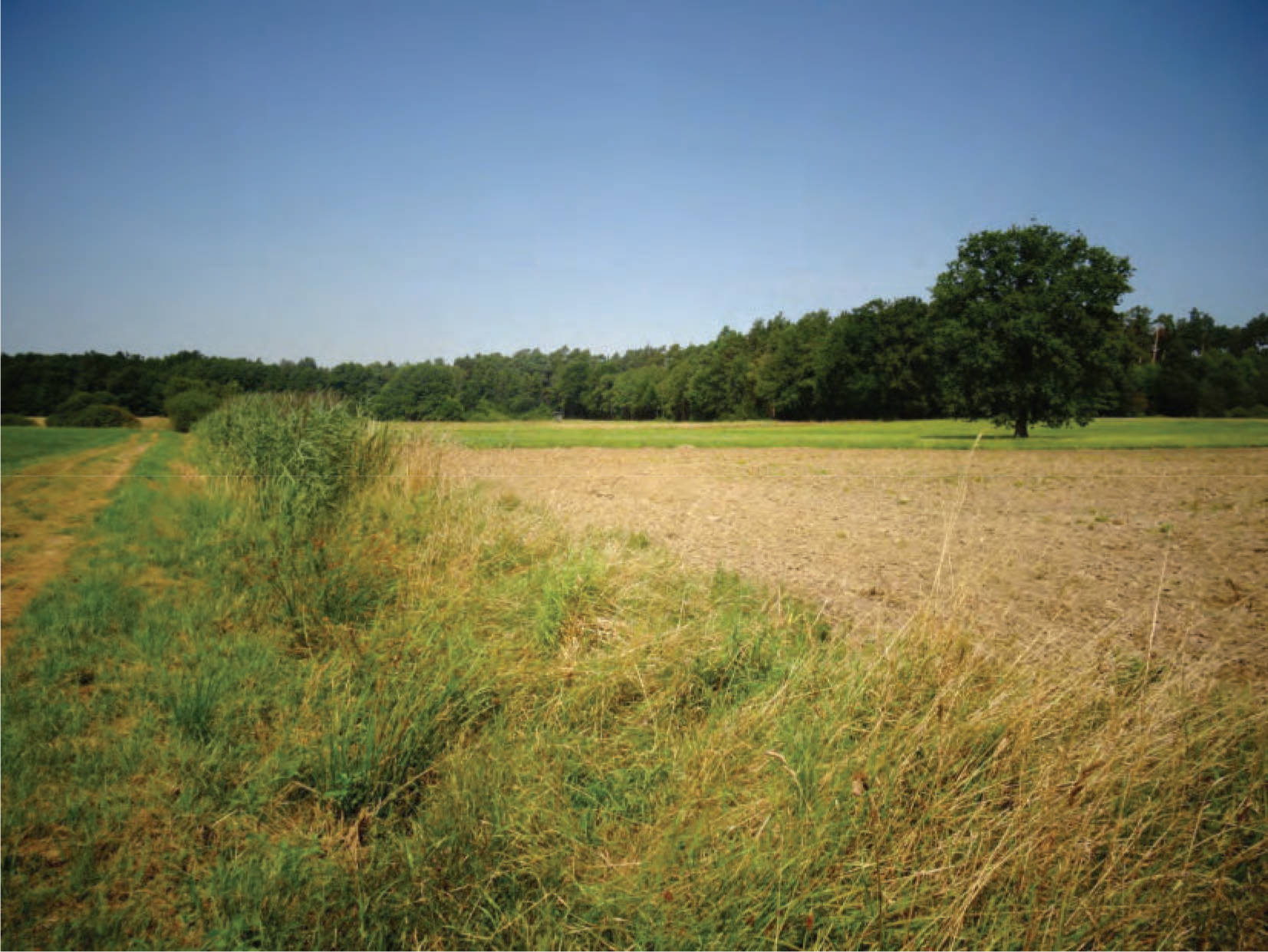 Sonstiges, Ackerland bzw. Ackerland/Grünland in Rödereck, 34621 Frielendorf, Leimsfeld - Bild 4