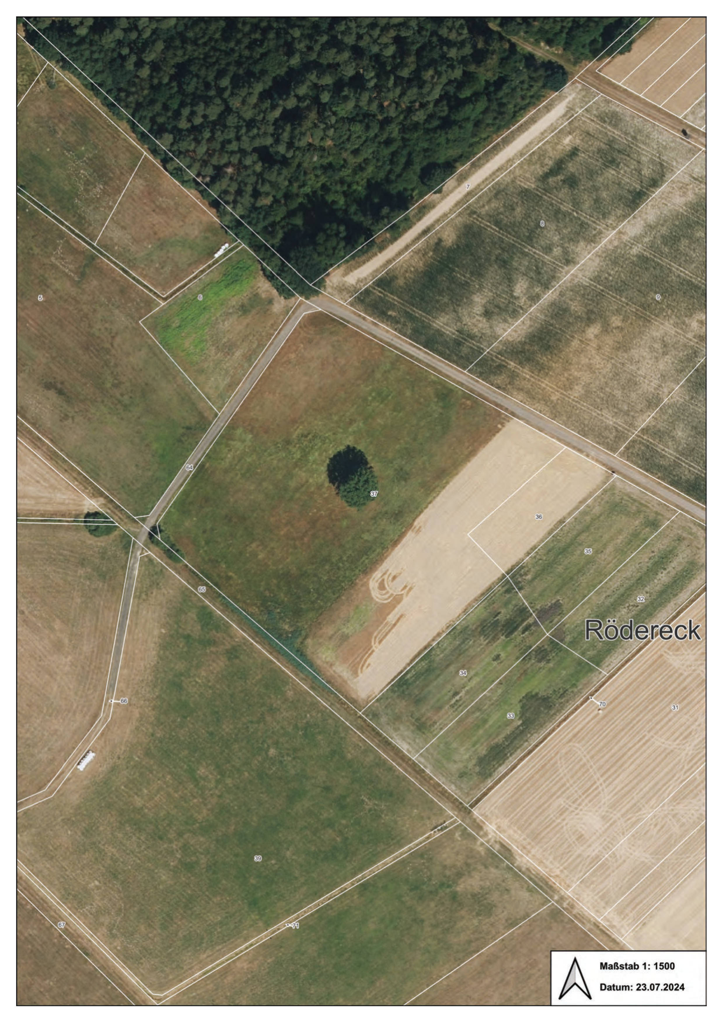 Sonstiges, Ackerland bzw. Ackerland/Grünland in Rödereck, 34621 Frielendorf, Leimsfeld - Bild 5