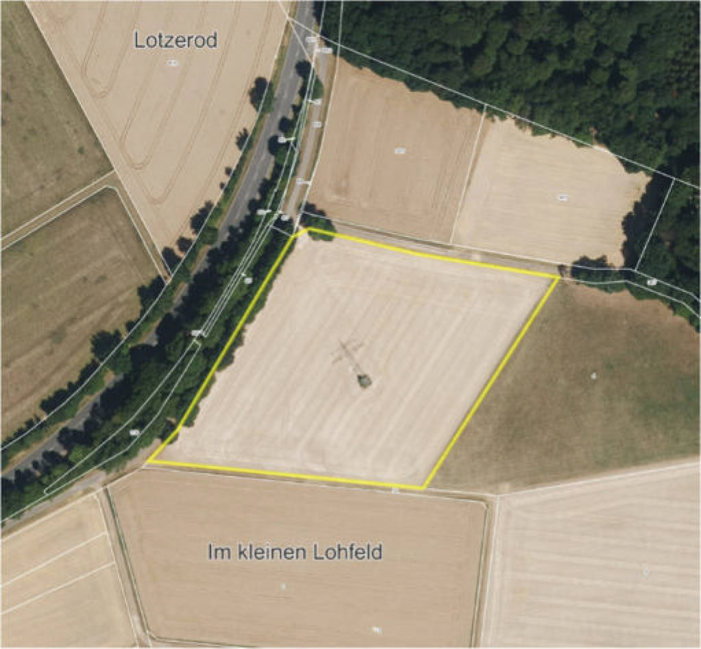 Sonstiges, Ackerland in Im Lohfeld, 34621 Frielendorf, Leimsfeld - Bild 4