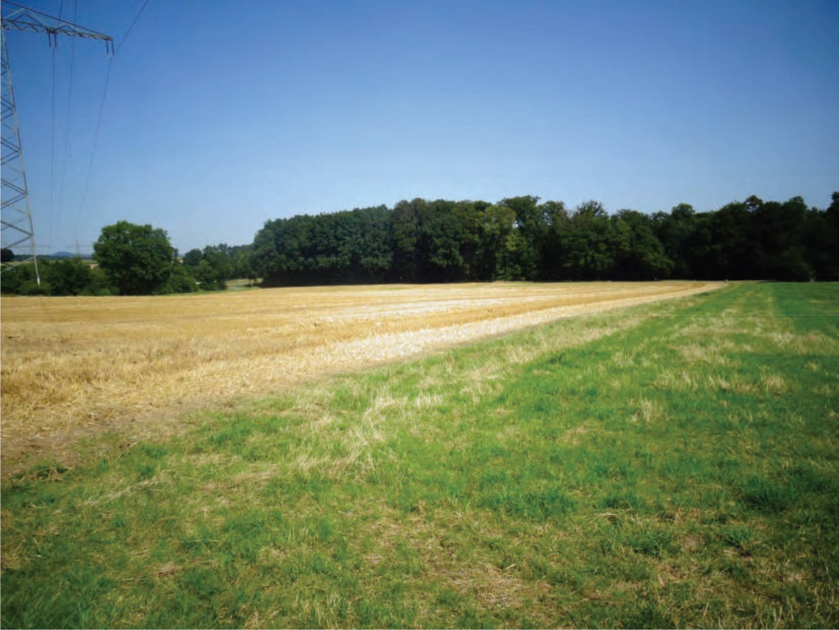 hessen 0031K0013/2024 Im Lohfeld, 34621 Frielendorf, Leimsfeld 8