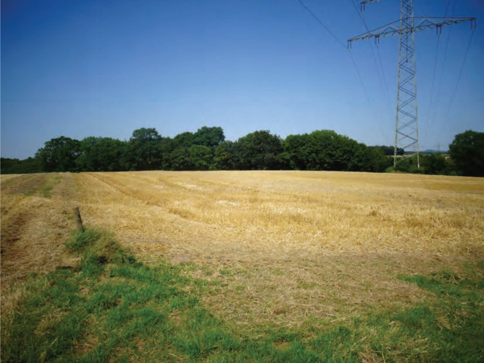 hessen 0031K0013/2024 Im Lohfeld, 34621 Frielendorf, Leimsfeld 6