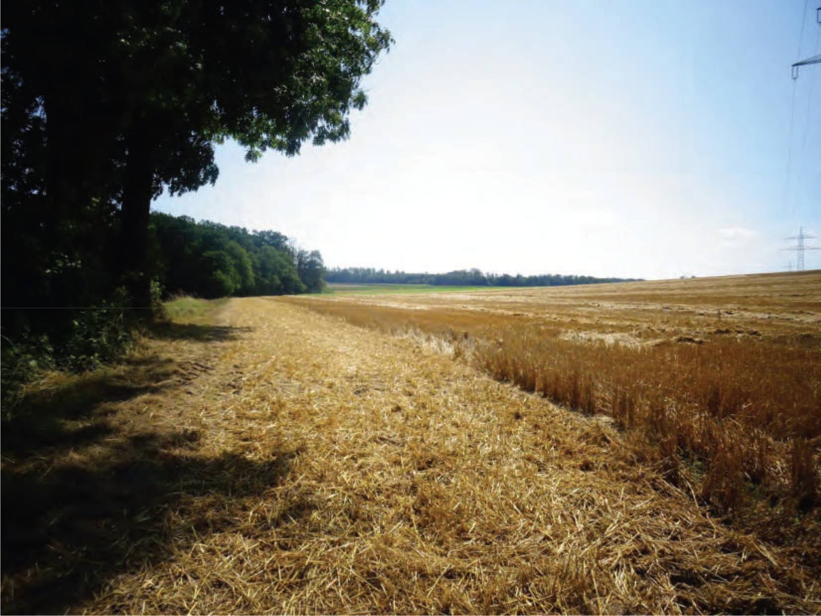 Sonstiges, Ackerland in Im Lohfeld, 34621 Frielendorf, Leimsfeld - Bild 2