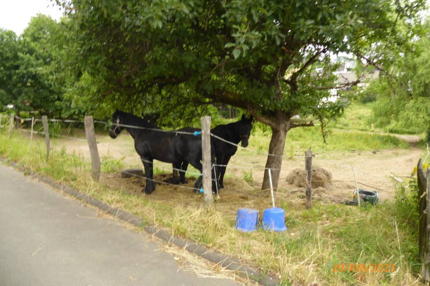 unbebautes Grundstück in Kirchwiese, 35116 Hatzfeld, Eifa - Bild 2