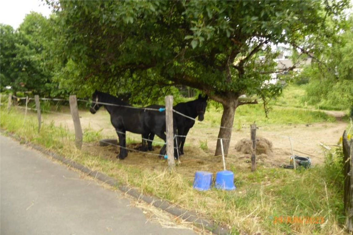 unbebautes Grundstück in Kirchwiese, 35116 Hatzfeld, Eifa