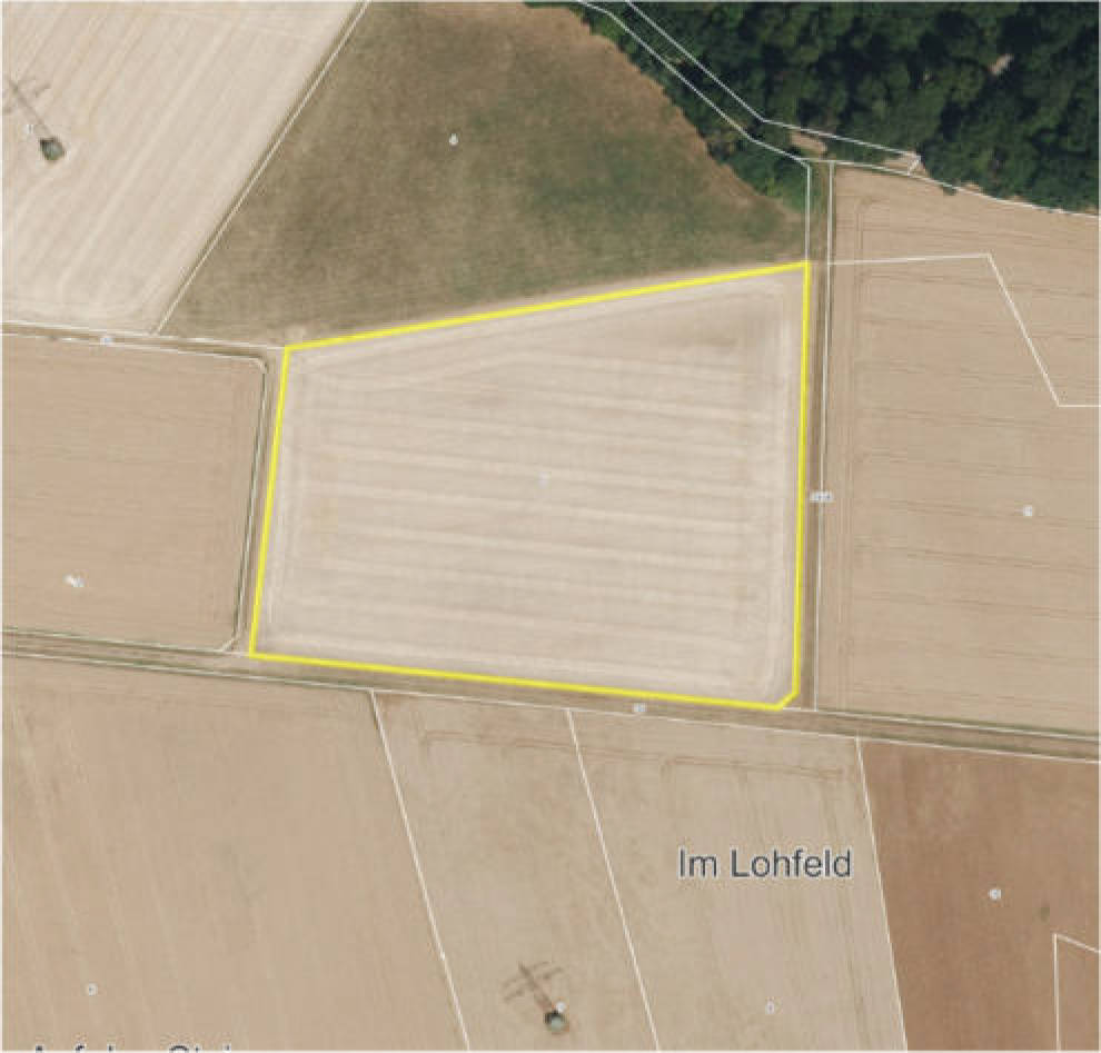 Sonstiges, Ackerland in Im Lohfeld, 34621 Frielendorf, Leimsfeld - Bild 5