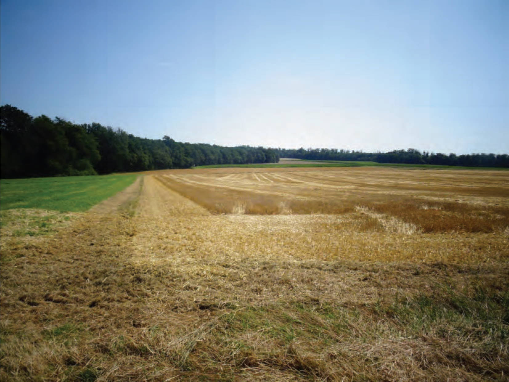 Im Lohfeld, 34621 Frielendorf, Leimsfeld