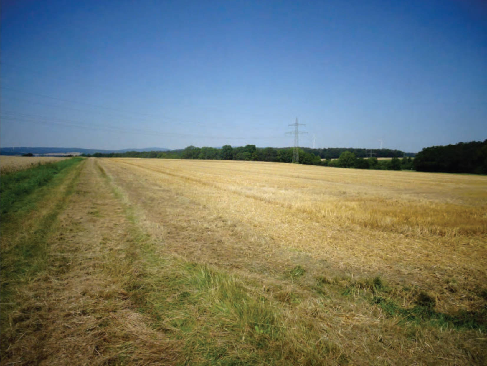 Sonstiges, Ackerland in Im Lohfeld, 34621 Frielendorf, Leimsfeld - Bild 2