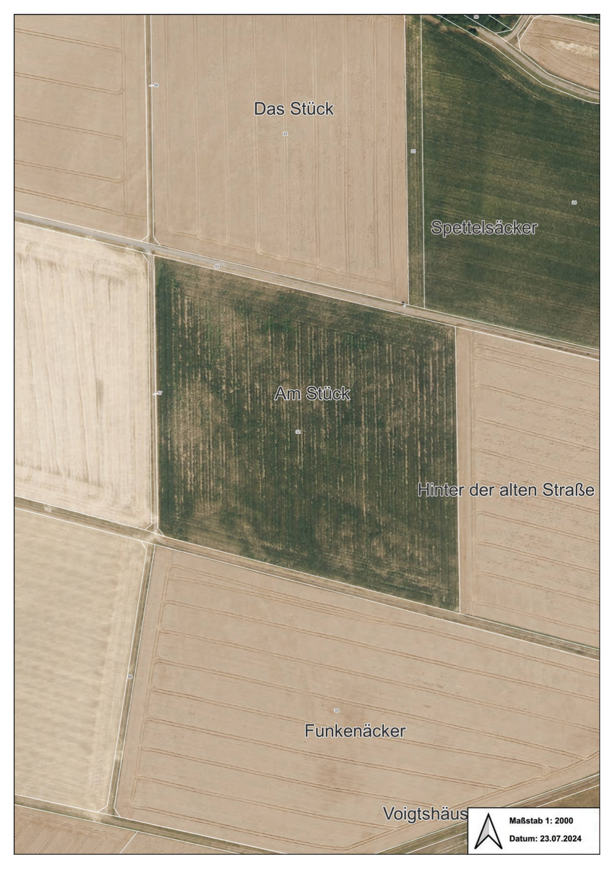 Sonstiges, Ackerland in Am Stück, 34621 Frielendorf, Leimsfeld - Bild 4
