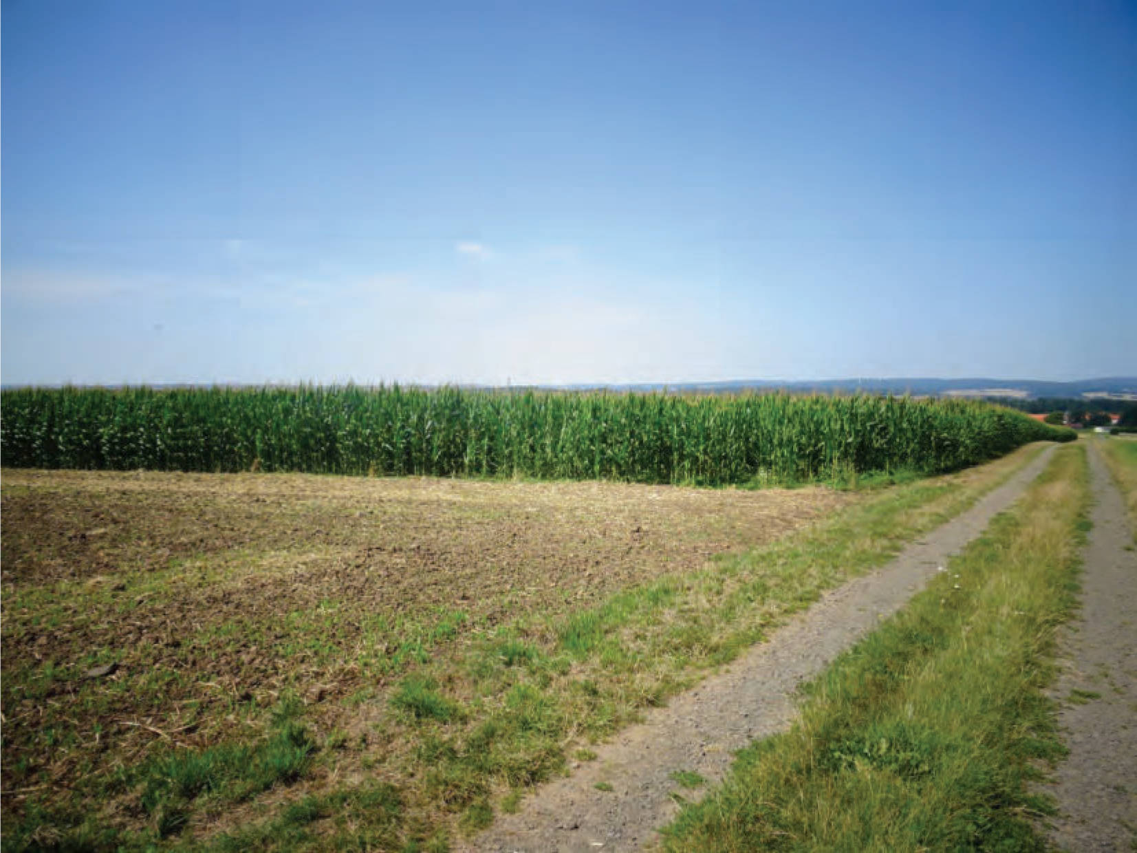 Sonstiges, Ackerland in Am Stück, 34621 Frielendorf, Leimsfeld