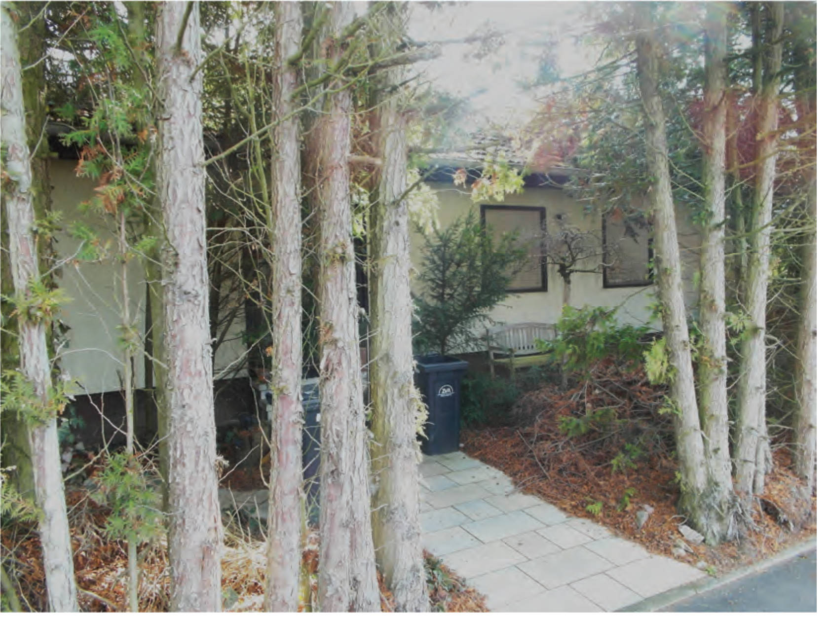 Einfamilienhaus in Danziger Straße 8, 34628 Willingshausen, Willingshausen - Bild 2