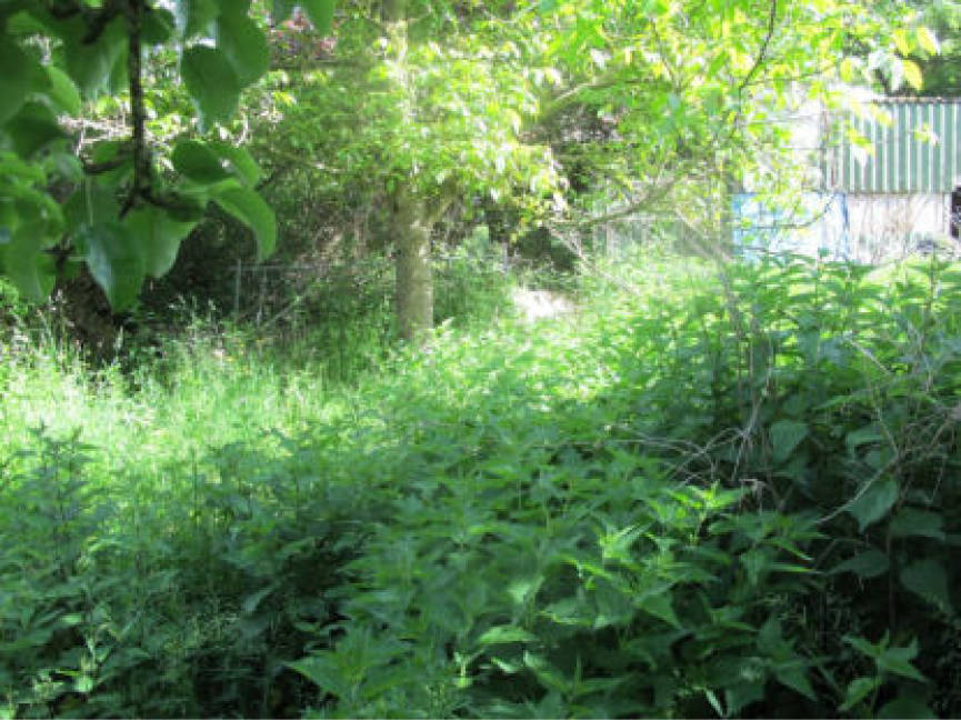 hessen 0032 K 0002/2022 Am Schwimmbad 13, 34621 Frielendorf , Lenderscheid 27