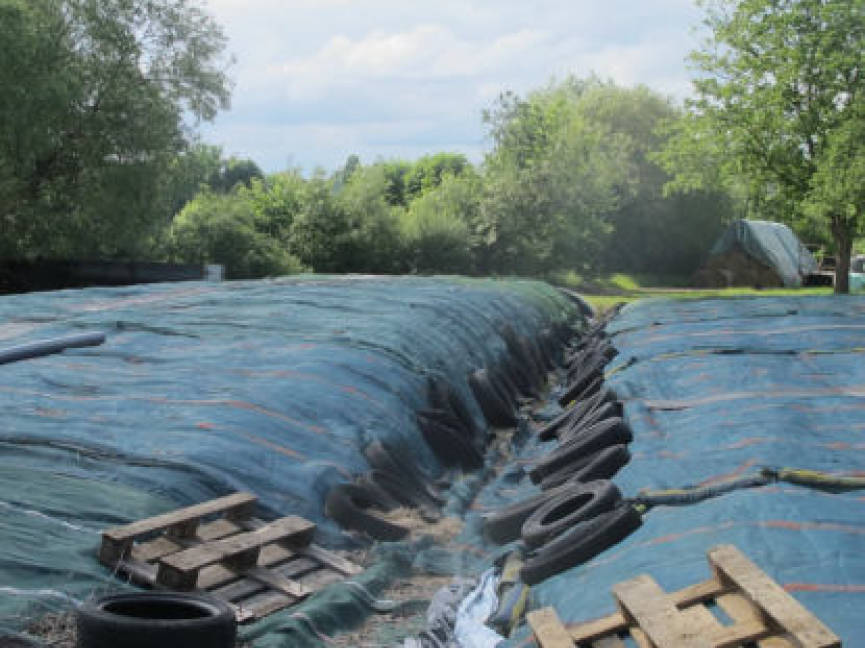 Mehrfamilienhaus, land- und forstwirtschaftlich genutztes Grundstück, Garten- und Grünland in Am Schwimmbad 13, 34621 Frielendorf , Lenderscheid - Bild 5