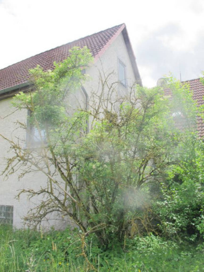 hessen 0032 K 0002/2022 Am Schwimmbad 13, 34621 Frielendorf , Lenderscheid 7