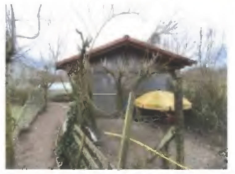land- und forstwirtschaftlich genutztes Grundstück in Auf der Hohl, 35315 Homberg (Ohm), Maulbach