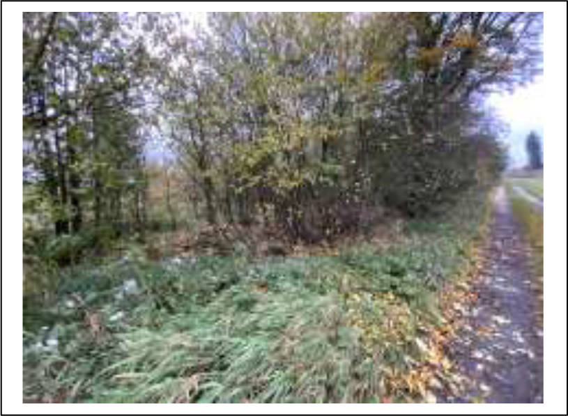 land- und forstwirtschaftlich genutztes Grundstück in In der Fell, 35327 Ulrichstein - Bild 2