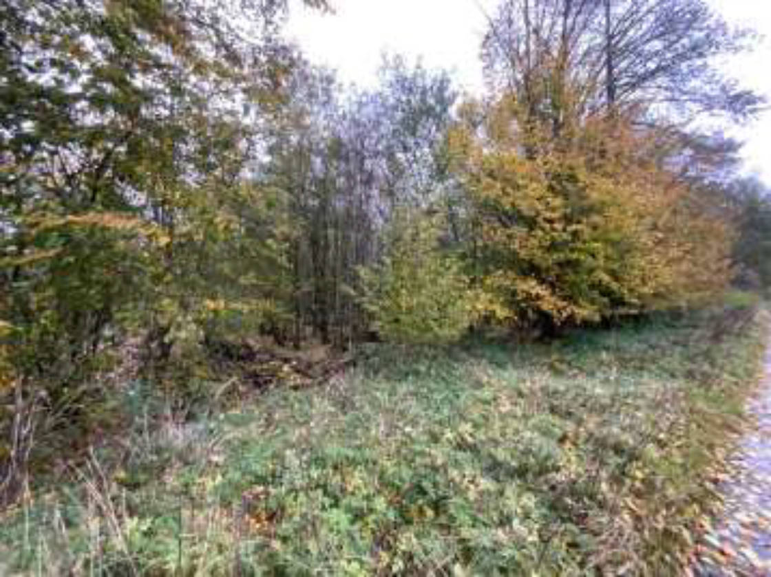 hessen 0034K0024/2023 In der Fell, 35327 Ulrichstein 6