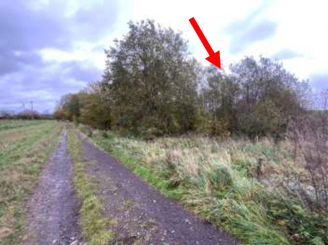 hessen 0034K0024/2023 In der Fell, 35327 Ulrichstein 8