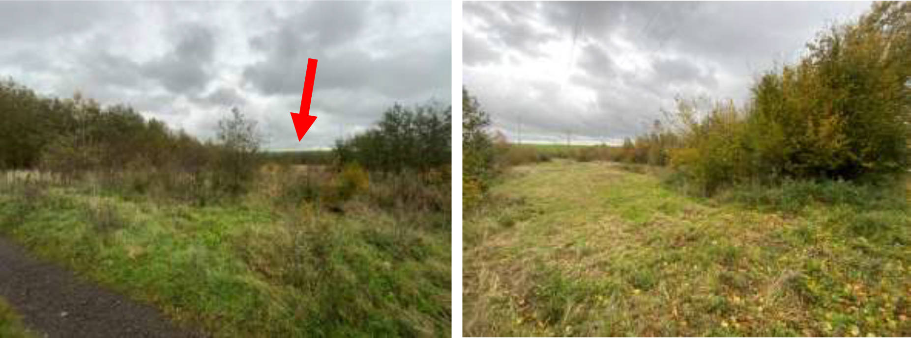 land- und forstwirtschaftlich genutztes Grundstück in In der Fell, 35327 Ulrichstein - Bild 3