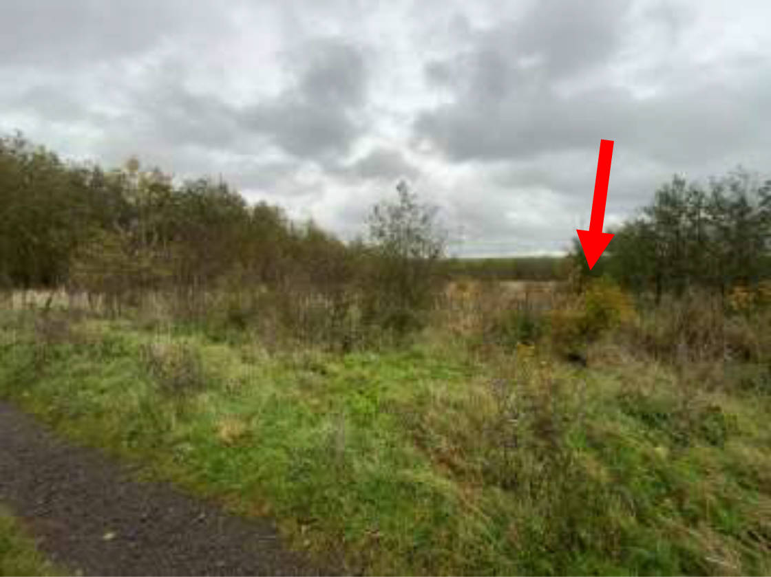 land- und forstwirtschaftlich genutztes Grundstück in In der Fell, 35327 Ulrichstein - Bild 5