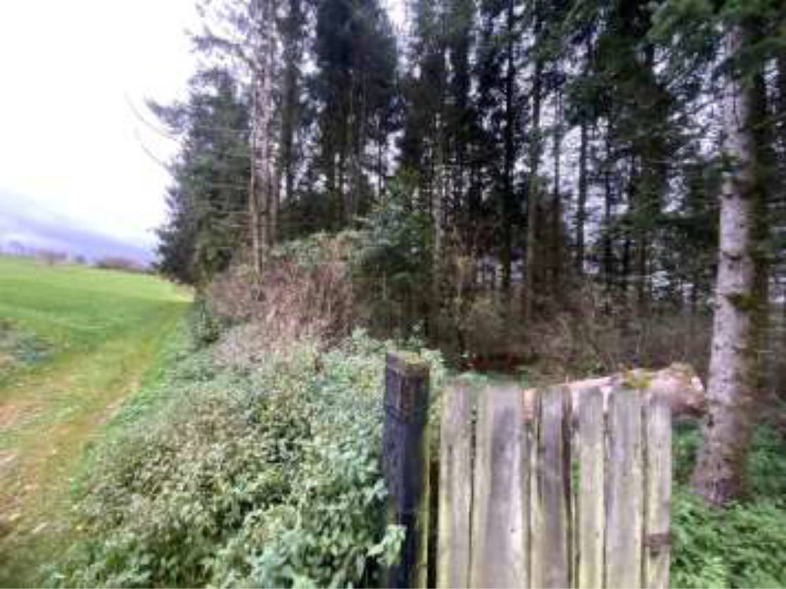 hessen 0034K0026/2023 Am Ehmser, 35327 Ulrichstein 19