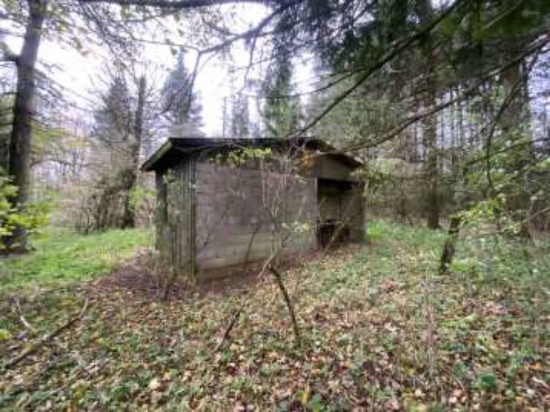 hessen 0034K0026/2023 Am Ehmser, 35327 Ulrichstein 6