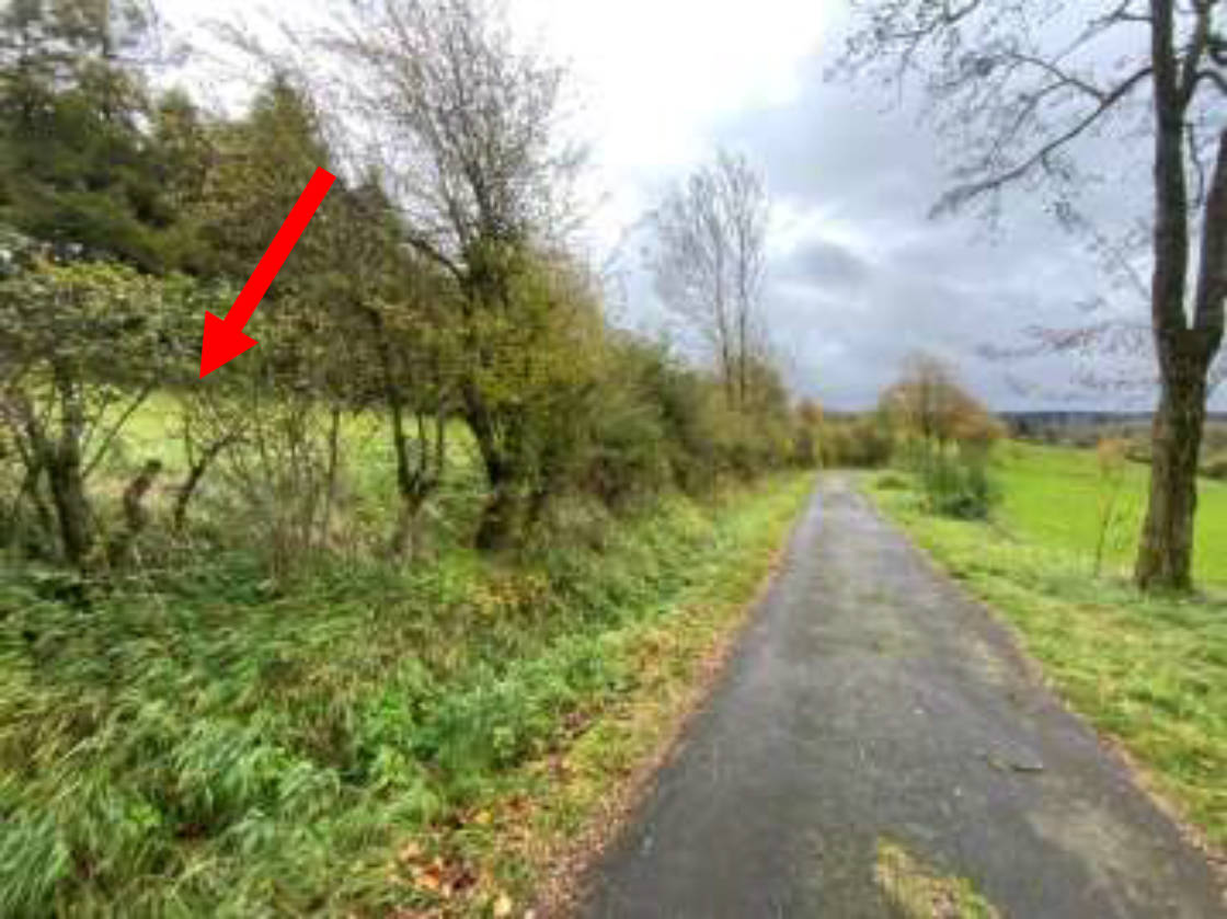 land- und forstwirtschaftlich genutztes Grundstück in Am Ehmser, 35327 Ulrichstein - Bild 2