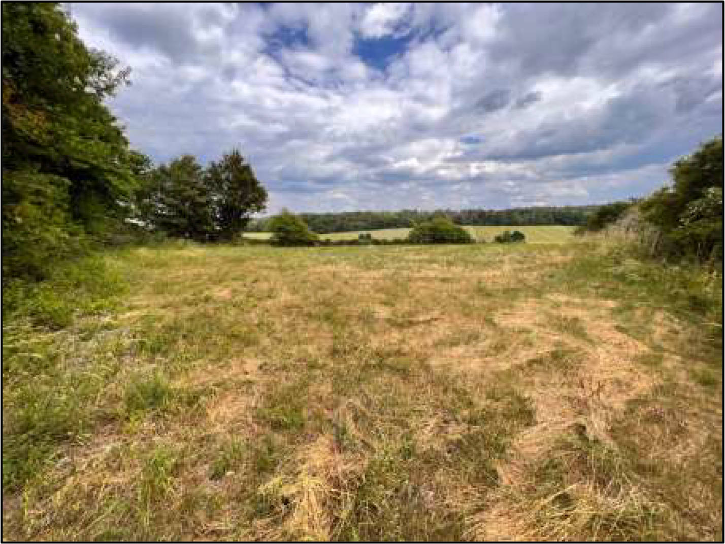 land- und forstwirtschaftlich genutztes Grundstück in An den hohen Eichen, 36318 Schwalmtal, Ober-Sorg