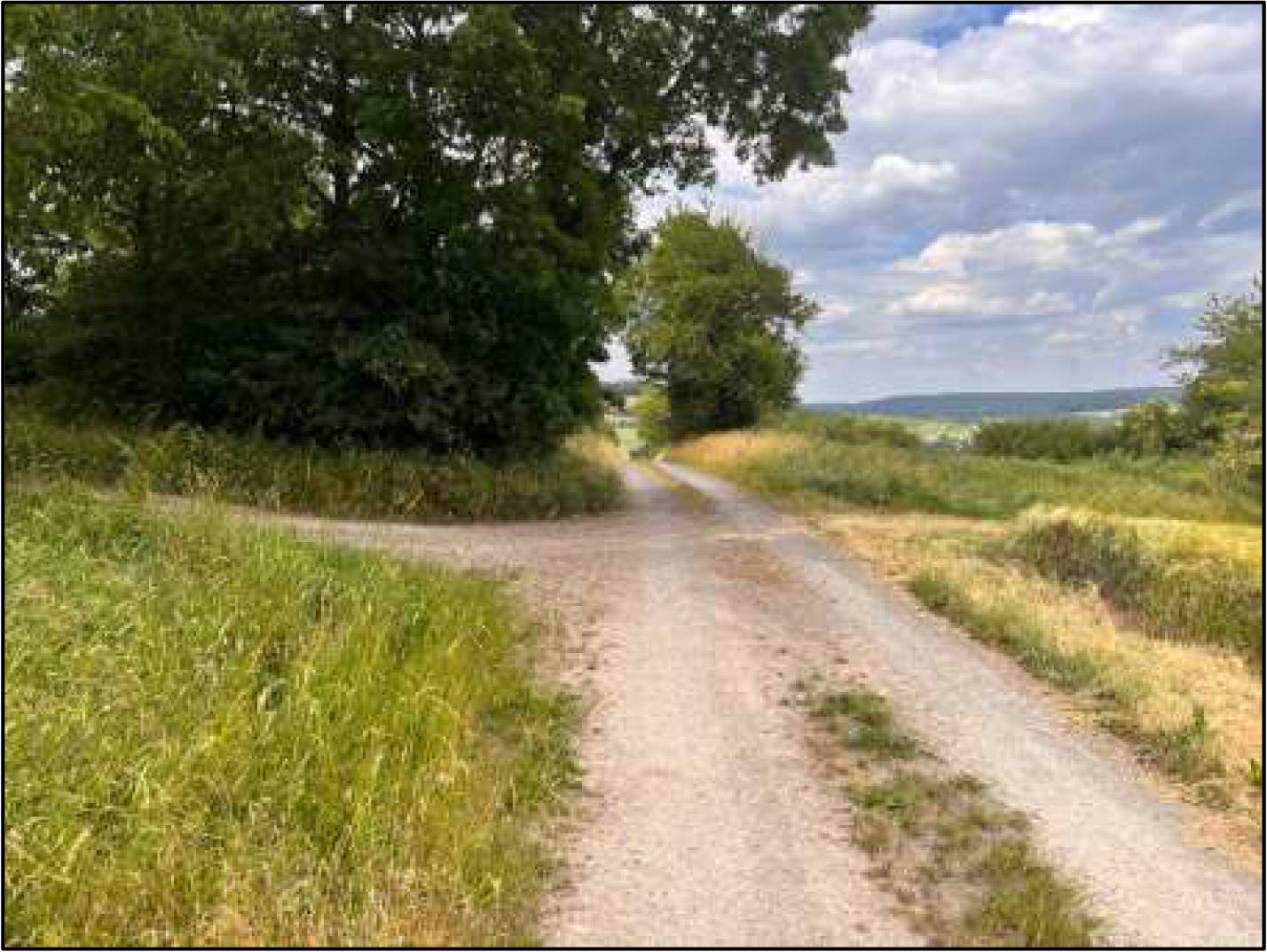 land- und forstwirtschaftlich genutztes Grundstück in An den hohen Eichen, 36318 Schwalmtal, Ober-Sorg - Bild 2