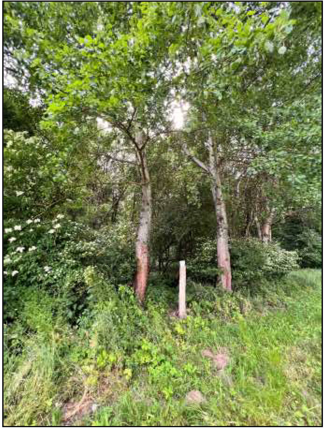 hessen 0034K0063/2022 Am Lanzenberg, 36318 Schwalmtal, Ober-Sorg 9