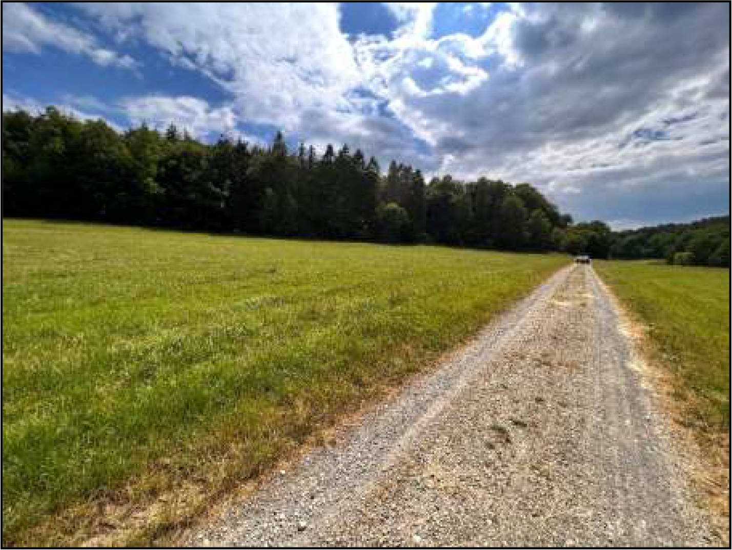 land- und forstwirtschaftlich genutztes Grundstück in Am Lanzenberg, 36318 Schwalmtal, Ober-Sorg