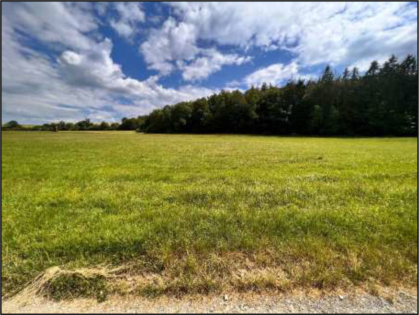 land- und forstwirtschaftlich genutztes Grundstück in Am Lanzenberg, 36318 Schwalmtal, Ober-Sorg - Bild 3