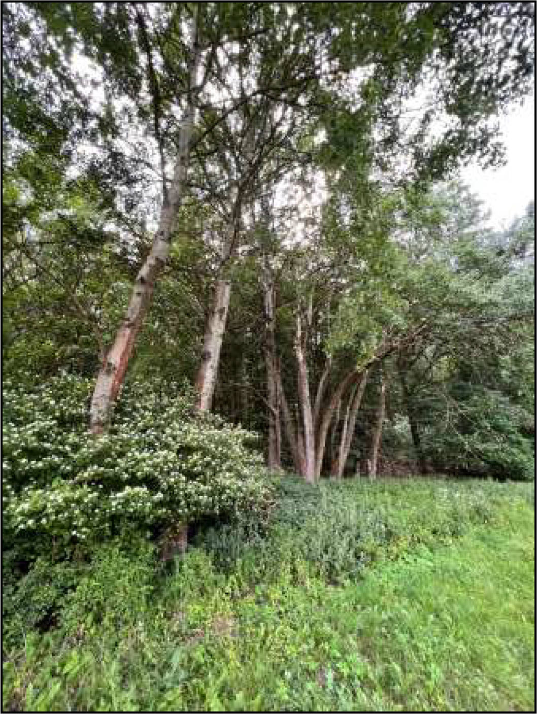 hessen 0034K0063/2022 Am Lanzenberg, 36318 Schwalmtal, Ober-Sorg 6