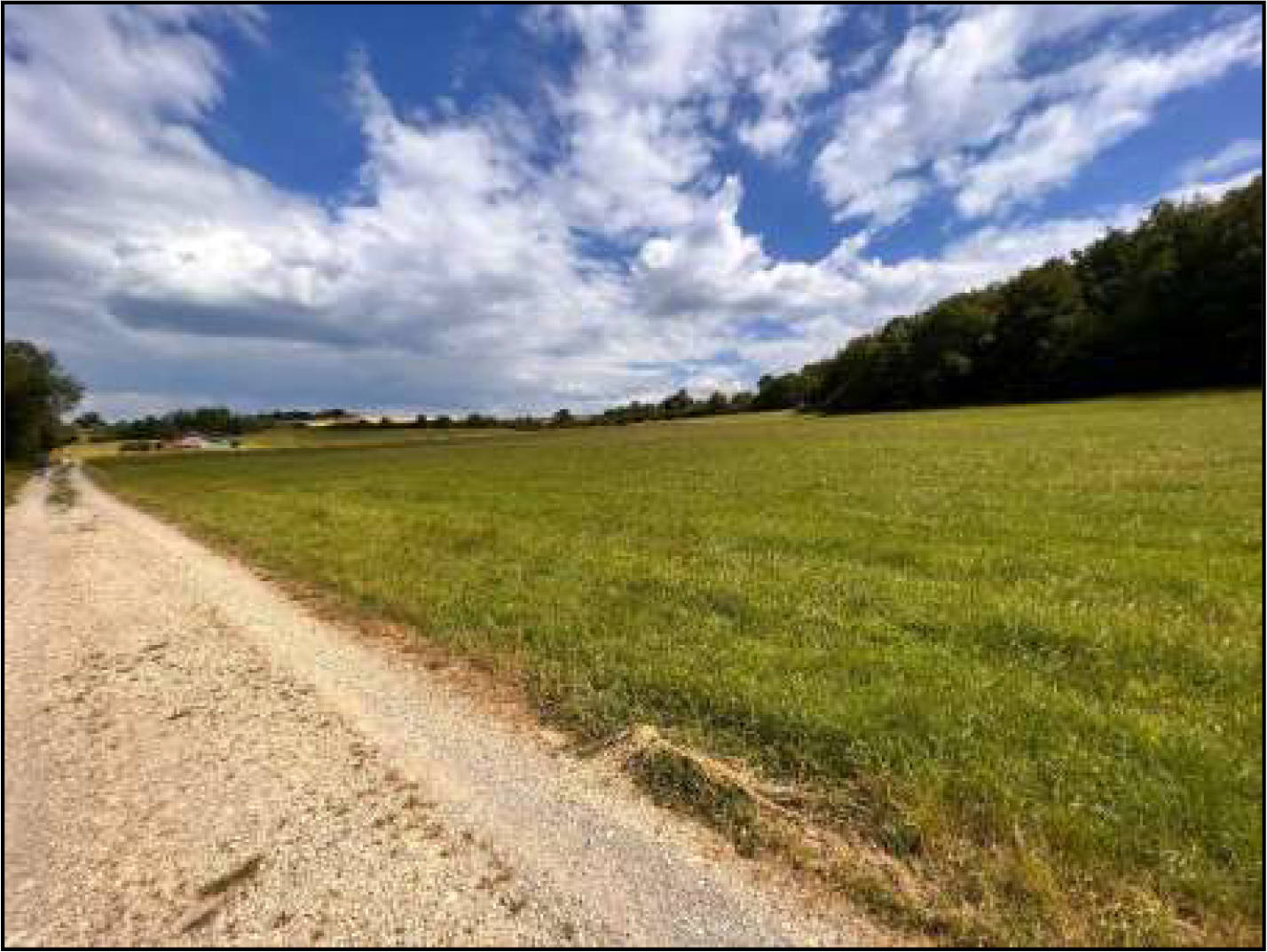 land- und forstwirtschaftlich genutztes Grundstück in Am Lanzenberg, 36318 Schwalmtal, Ober-Sorg - Bild 5