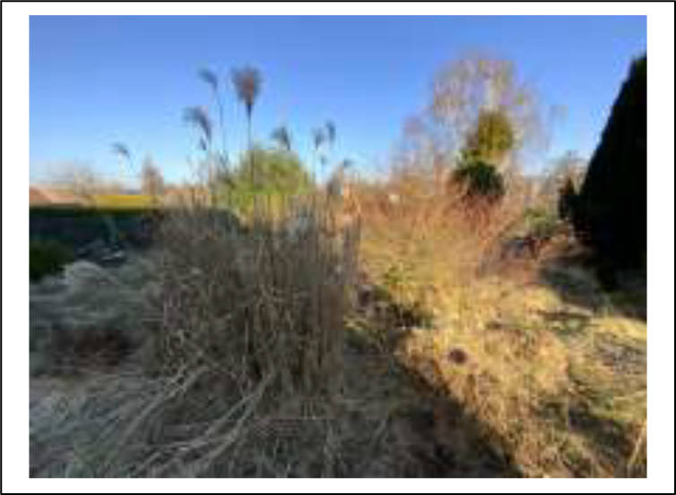 hessen 0036K0031/2023 Gartenstrasse  12, 35325 Mücke, Nieder-Ohmen 18